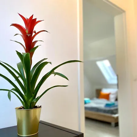 アパート Bright - Super Spacious - King Bed, Kitchen, Free Parking アウグスブルク